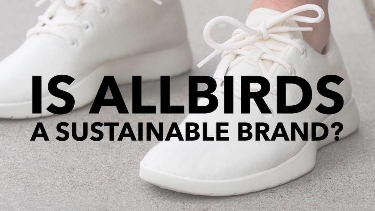 allbirds sustainable