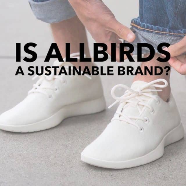 are allbirds sustainable