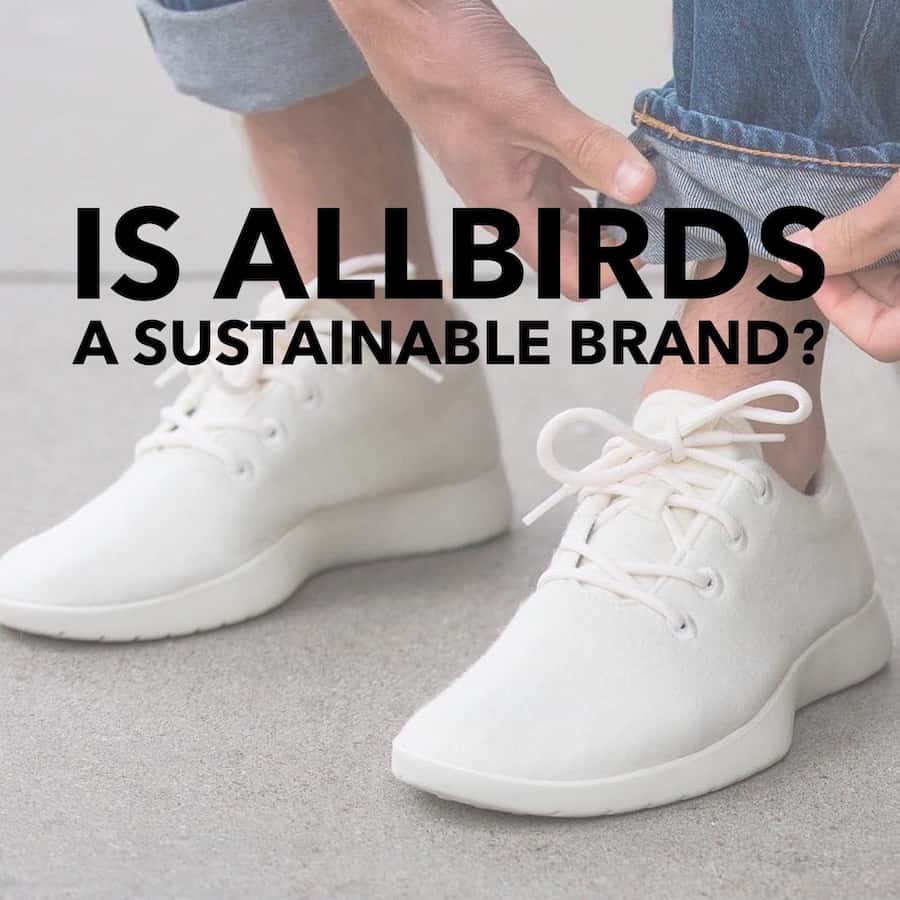 allbirds eco friendly