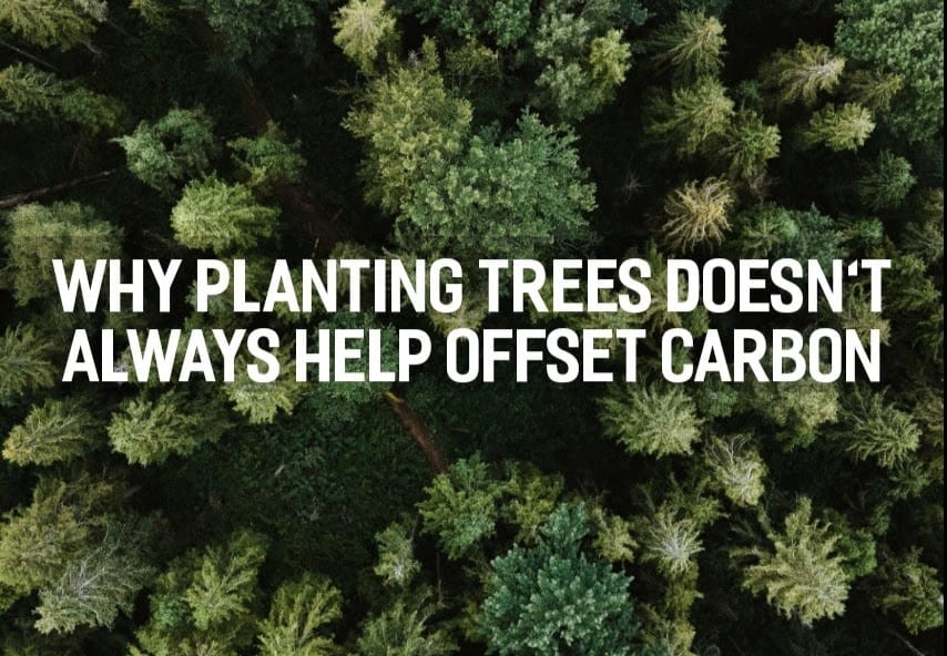 Why planting trees doesn’t always help offset carbon. | Eco-Stylist