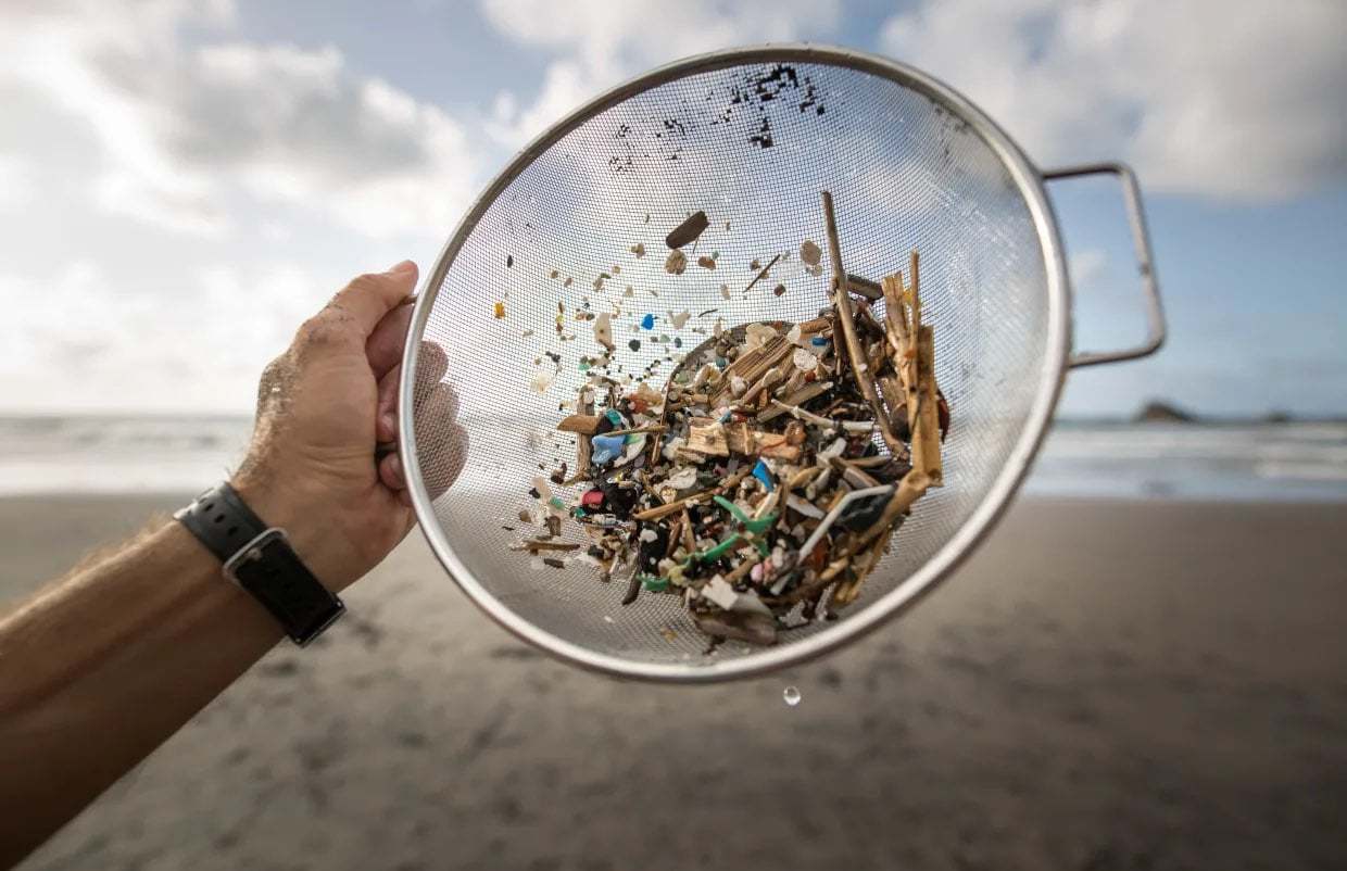 Three Things You Can Do To Reduce Microplastic Pollution | Eco-Stylist